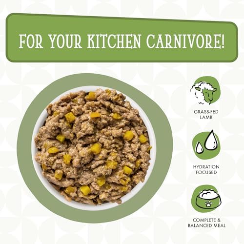 Weruva Dogs in the Kitchen, Lamburgini with Lamb & Pumpkin Au Jus Dog Food, 2.8oz Pouch (Pack of 12)