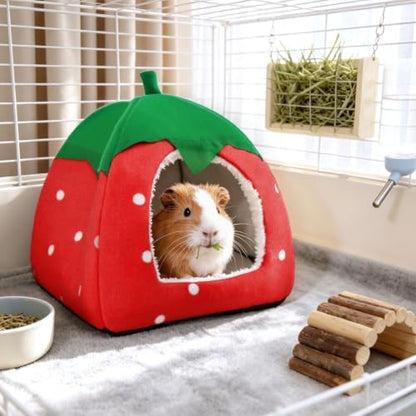 Guinea Pig Hideout Bed, Dwarf Rabbit House Cave