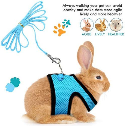 Satinior 2 Sets Guinea Pig Harness and Leash Kit, Blue, Black, M