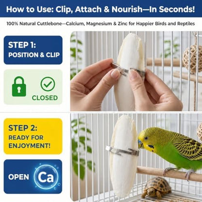 Birds LOVE 5.5 - 6″ Cuttlebones for Birds – 100% Natural Sun-Dried Calcium & Beak Conditioning Supplement for Parakeets, Budgies, Cockatiels, Finches & Canaries – 12 Pack with Holder – Made in Vietnam