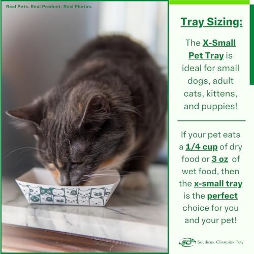 SCT X-Small Disposable Pet Food Bowl, Tray, Purrfect for Feeding Kittens, Puppies, and Cats, Wet Food or Dry Food, Treats, Indoor and Outdoor, 1/4 Cup or 3 oz Capacity, 250 Count