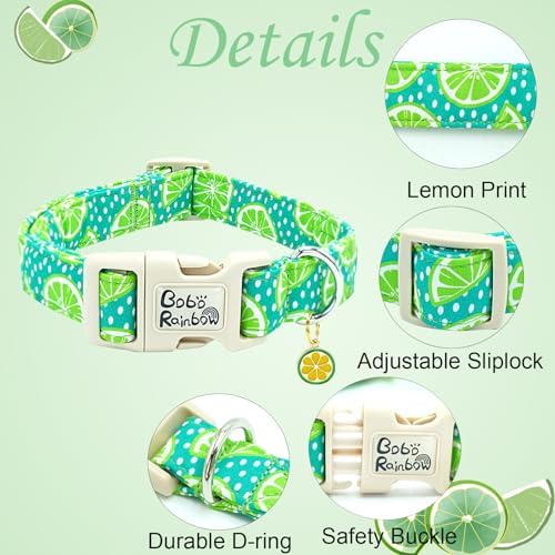 Summer Fresh Green Lime Print Dog Collar for Large Dogs