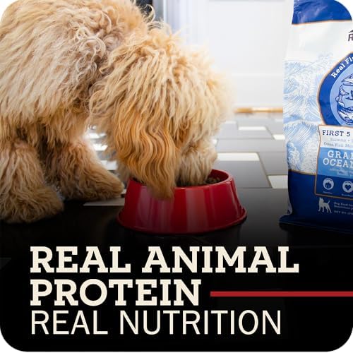 Redbarn Grain-Free Adult Dry Dog Food Kibble - Ocean Fish Recipe - Made in USA No Chicken Recipe with Functional Ingredients to Support Healthy Heart, Skin, Coat, Immunity & Digestion - 4lb