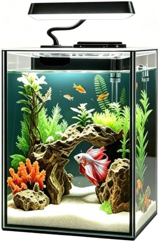 Glass Betta Aquarium Starter Kits 1.5 Gallon Small Fish Tank, Betta Fish Tank with LED Light, Power Filter, Black. 4mm Glass