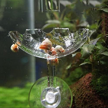 Bilindasly Acrylic Shrimp Feeding Dish Floral Shrimp Bowl Aquarium Transparent Feeder Container with Suction Cup for Aquarium Fish Tank