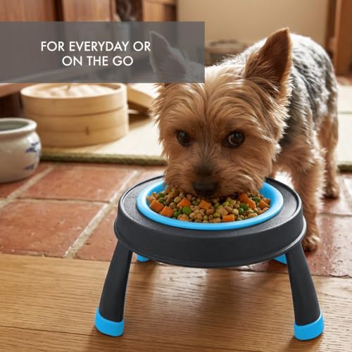 Dexas Pets Elevated Pet Feeder, Small, 1.5 Cup Capacity, Blue, Raised Pet Food and Water Bowl