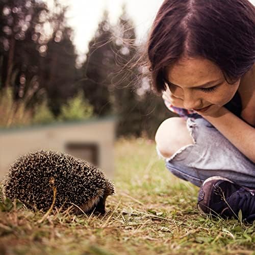 Relaxdays Hedgehog House, Wooden, Pet Hotel With Base, 2 Chambers, Winter Shelter, HxWxD: 21.5x40x40 cm, Brown