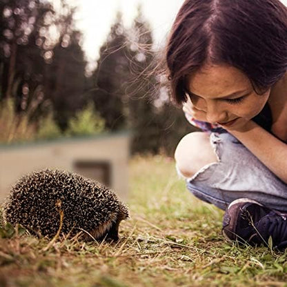 Relaxdays Hedgehog House, Wooden, Pet Hotel With Base, 2 Chambers, Winter Shelter, HxWxD: 21.5x40x40 cm, Brown