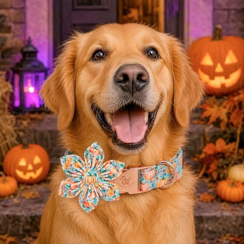 Elegant little tail Halloween Dog Collar, Pink Pumpkin Flower Girl Pet Collars for Female Dogs Pet Adjustable Puppy Collars with Flowers for Small Medium Large Dogs