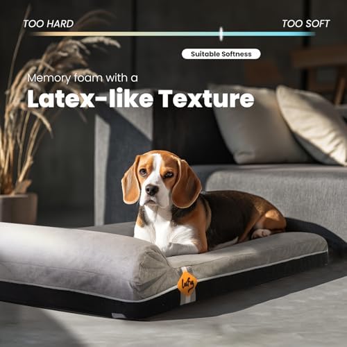 Laifug Orthopedic Dog Beds for Large Dogs,3" Memory Foam Dog Beds,Durable Water Proof Liner Removable and Washable, Nonskid Bottom,Grey Slate Grey 40"x25"x5.5"
