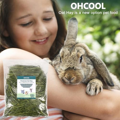 Premium Dust-Free Oat Hay 2.2lbs (2×1.1lbs) for Small Pets