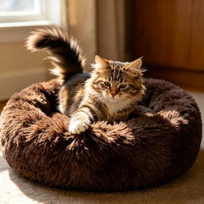 Cat Beds for Indoor Cats - Cat Bed Washable 20/24 inches, Dog Beds for Small Medium Dogs, Anti Anxiety Round Fluffy Plush Faux Fur Pet Bed, Thick Bottom (Coffee, Medium)