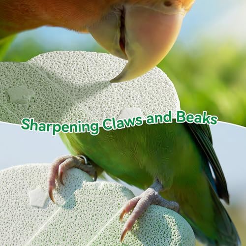Parrot Perch Nails & Beak/Toe Grinding Stone Bird Perch for Cage 2 Pack