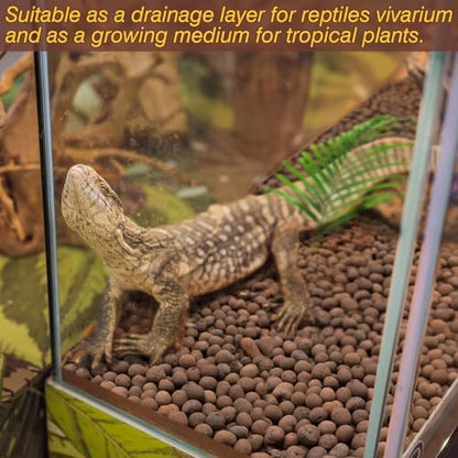 ZeeDix 2 LBS Leca Clay Balls for Reptile & Terrarium Substrate