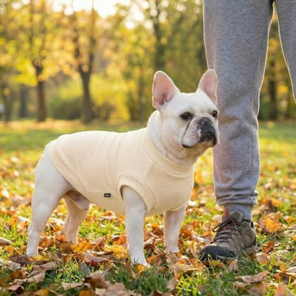 1 Pack Dog Shirt for Small Supplies Functional Waffle Dog Clothes Warm Soft Sweatshirt Outfit for Dogs Cats Pet Apparel