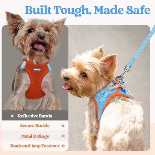 rabbitgoo Dog Harness Small Sized and Leash Set, Step-in Puppy Pet Vest