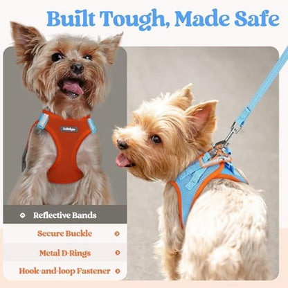 rabbitgoo Dog Harness Small Sized and Leash Set, Step-in Puppy Pet Vest