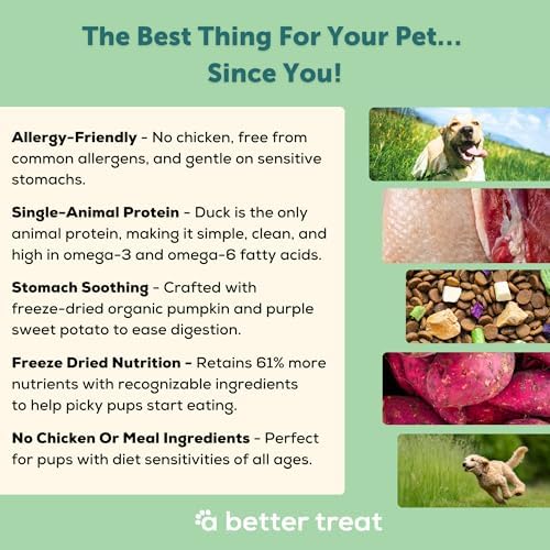 A Better Treat | Allergy Friendly Duck Dry Dog Food | Raw You Can See | No Chicken, Duck Only Animal Protein, No Meal Ingredients, Grain Free | Stomach Soothing Kibble + Freeze Dried Raw Dog Food
