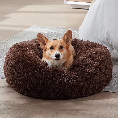 WESTERN HOME WH Calming Dog Bed & Cat Bed, Anti-Anxiety Donut Dog Cuddler Bed, Warming Cozy Soft Dog Round Bed, Fluffy Faux Fur Plush Dog Cat Cushion Bed for Small Medium Dogs and Cats