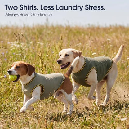 IECOii 2 Pack Dog Surgery Recovery Shirt Sleeveless Lightweight Dog Tshirt