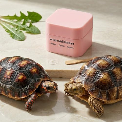 Tortoise Shell Conditioner Balm – Turtle Shell Moisturizer for Dry Shell Care & Treatment, Reptile Shell Balm 50 g