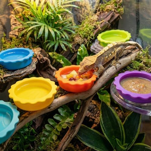 15 Pack Crested Gecko Food and Water Bowl, Eudimysx Reusable Small Reptile Feeding Dish, Gecko Tank Accessories for Hermit Crab, Tarantula, Isopods, Snails and Lizard, Silicone Easy Clean & 7 Colors