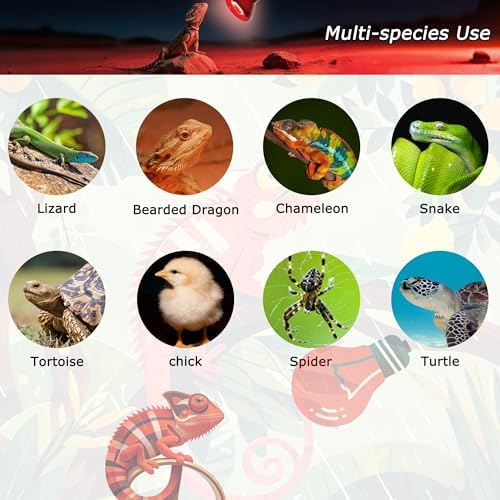 Reptile Infrared Heat Lamp,60W Red Heat Bulb for Reptile Habitats