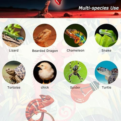 Reptile Red Heat Bulb,75W Infrared Heat Lamp for Reptile Habitats