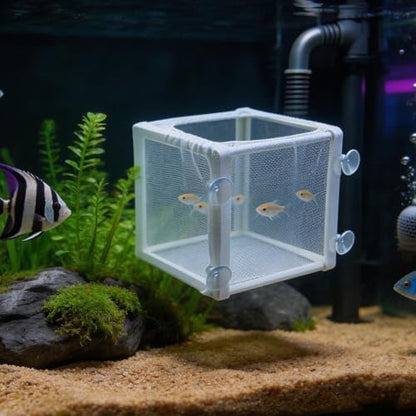 MY MIRONEY 6.3" x 5.63" x 6.22" Fish Incubator Mesh Box Pack of 2
