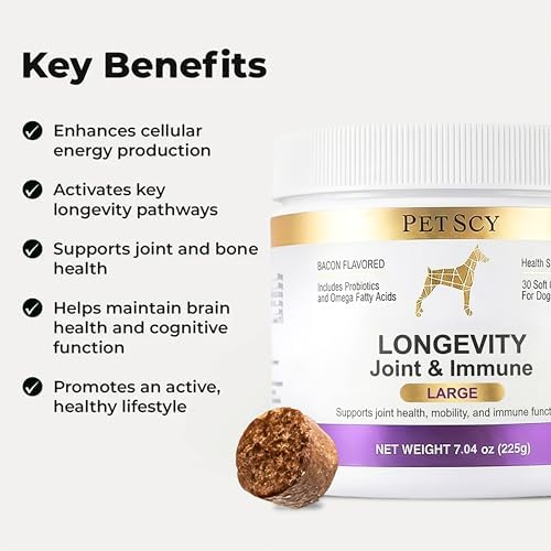 Petscy Longevity Hip & Joint + Immune Support for Dogs - Large (7.5g Chew) - High Dose Glucosamine, MSM, Chondroitin, Green Lipped Mussel, Omega 3, Probiotics - 30 Chews (Large Dogs)