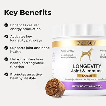 Petscy Longevity Hip & Joint + Immune Support for Dogs - Large (7.5g Chew) - High Dose Glucosamine, MSM, Chondroitin, Green Lipped Mussel, Omega 3, Probiotics - 30 Chews (Large Dogs)