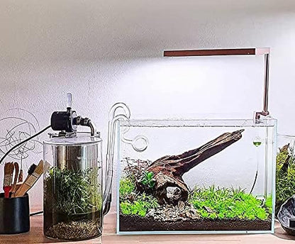 Allcolor Low Iron Glass Ultra Clear Rimless Aquarium Tank (10GaI)