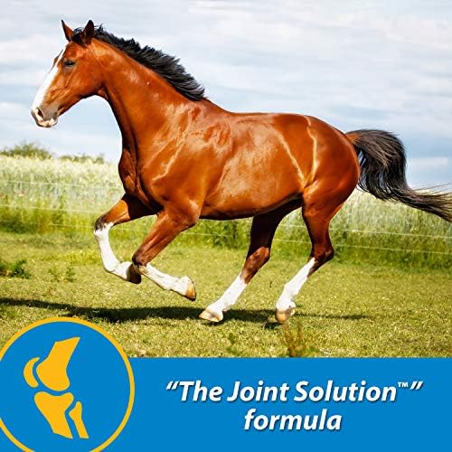 Farnam Fluidflex Liquid Joint Supplement for Horses, Helps Maintain Healthy Hip & Joint Function, 64 Ounces, 64-Day Supply