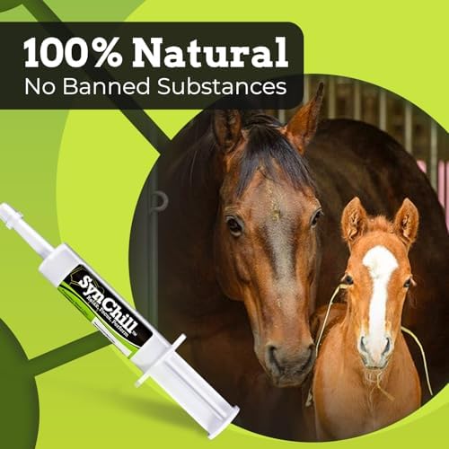 SynChill Horse Calming Supplement Gel, 1 Pack | Composure & Focus