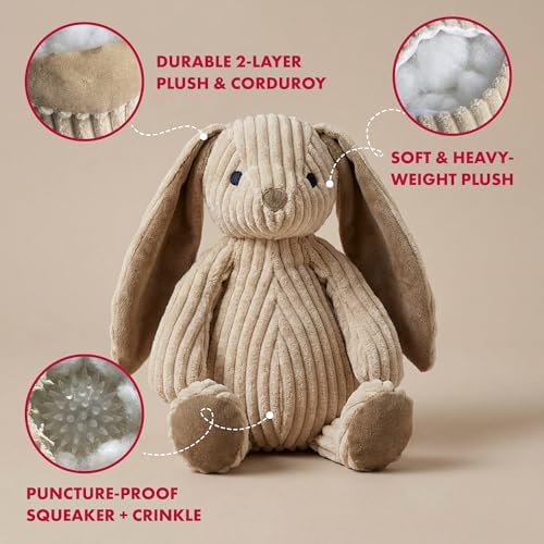 Petlou Soft Corduroy Rabbit Dog and Cat Toys with Multi-Squeaks and Crinkle Paper.15-Inch Creamy White Colour