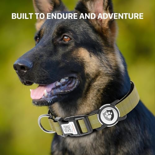 Waterproof AirTag Dog Collar with QR Code Dog Tag, Champagne L