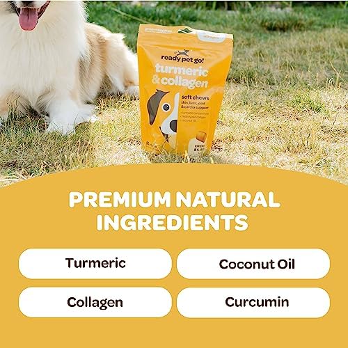 Turmeric for Dogs Soft Chews | Hip and Joint Chews for Dogs Comfort & Mobility with Collagen for Dogs | Dog Joint Supplement for All Ages Breeds & Sizes | NASC Certified & Made in The USA | 90 Chews