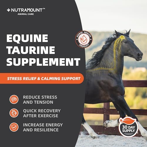 Horse Taurine Supplement Powder for Performance & Nerve Support | Equine Taurine with Magnesium for Focus, Muscle & Stress Balance | Daily Feed Powder 30-Day Supply