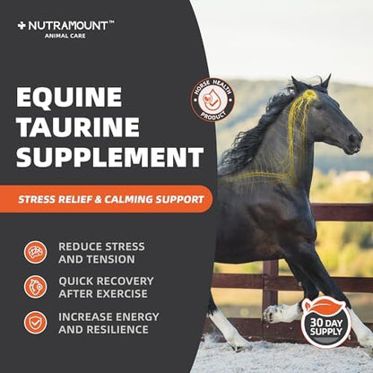 Horse Taurine Supplement Powder for Performance & Nerve Support | Equine Taurine with Magnesium for Focus, Muscle & Stress Balance | Daily Feed Powder 30-Day Supply
