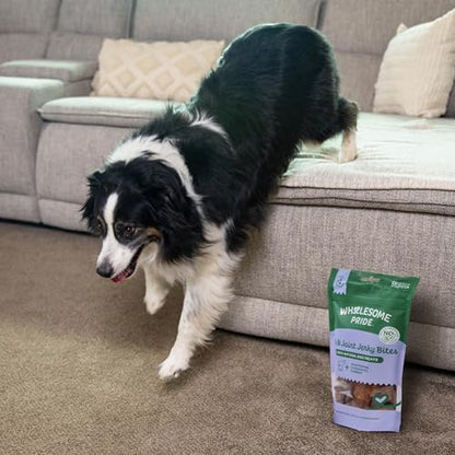 Wholesome Pride Functional Dog Hip & Joint Support Beef Jerky Bites, USA Made Mobility Dog Treats - 8 oz