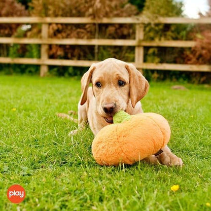 P.L.A.Y. Cute Plush Dog Toys - Fruit & Vegetable Themed Durable Squeaker Chew Toy, Great for Puppies & Small, Medium, Large Dogs - Machine Washable, Recycled Materials (Garden Fresh Pumpkin, Medium)