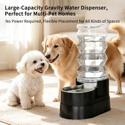 RIZZARI 8L Elevated Dog Water Dispenser: Large Dogs Senior Pets Filtered