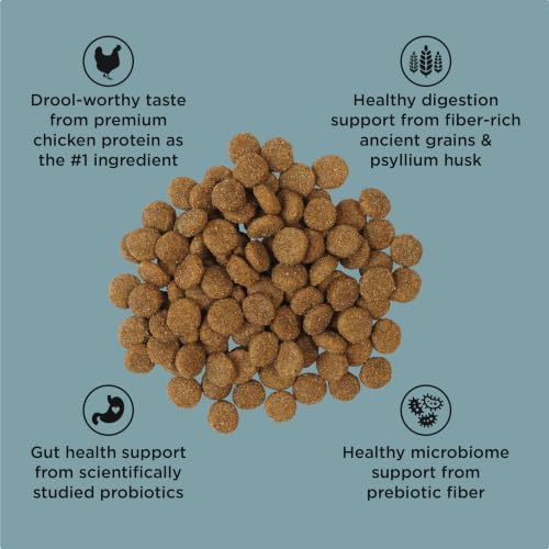 Go! Solutions Digestion + Gut Health Chicken Dry Dog Food, 12 lb