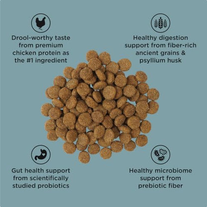 Go! Solutions Digestion + Gut Health Chicken Dry Dog Food, 12 lb