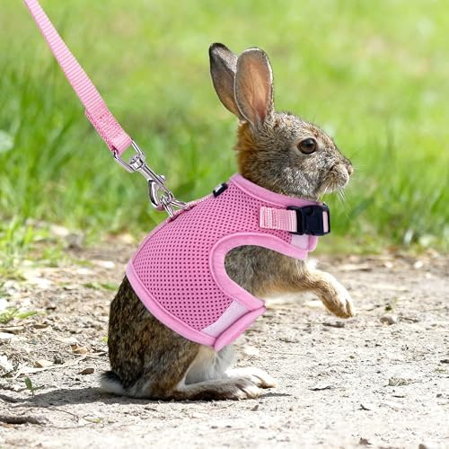 AIITLE Breathable Escape Proof Rabbit Harness and Leash Set, Pink L