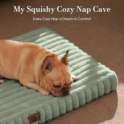 Medium Dog Bed Orthopedic Foam with Waterproof Lining