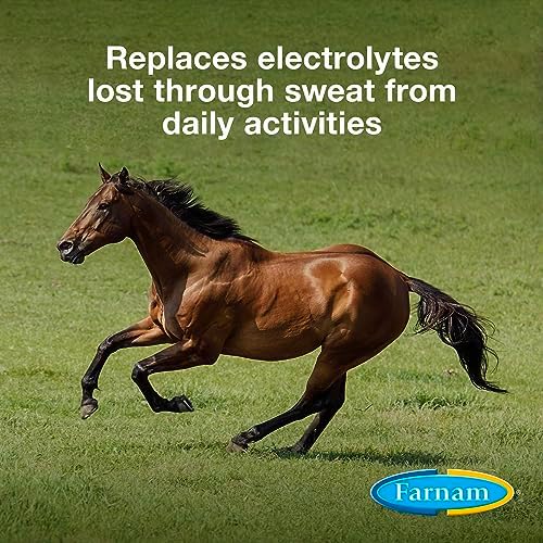 Farnam Apple Elite Horse Electrolyte Powder, Replaces Minerals Lost in Sweat During Exercise, Extreme Weather & Stressful Conditions, 5 lb., 40 Day Supply (Pack of 2)