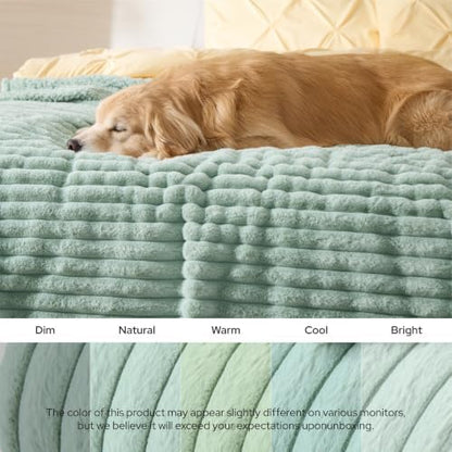 Bedsure ComfyFleece™ Waterproof Blanket for Bed, Twin（60"x80"） Garden Green