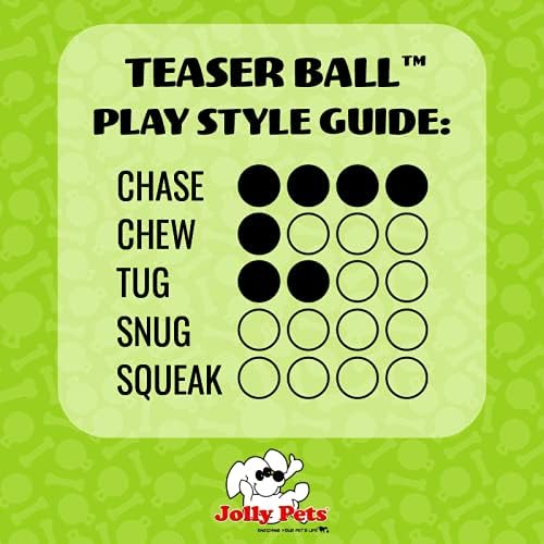Jolly Pets Teaser Ball Interactive Dog Toy, 6 in Medium, Red