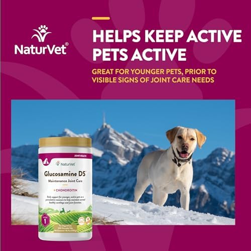 NaturVet Maintenance Joint Care with Chondroitin, Dogs & Cats, 240ct
